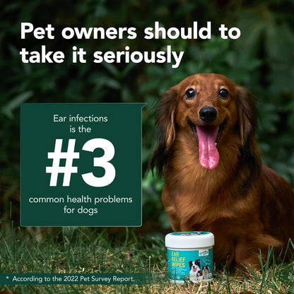 Dog Ear Cleaner Finger Wipes