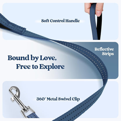 rabbitgoo Dog Harness Small Sized and Leash Set, Step in Soft Light Puppy Vest, Breathable Mesh Pet Harness, Reflective for Safe Outdoor Walking, Navy Blue S