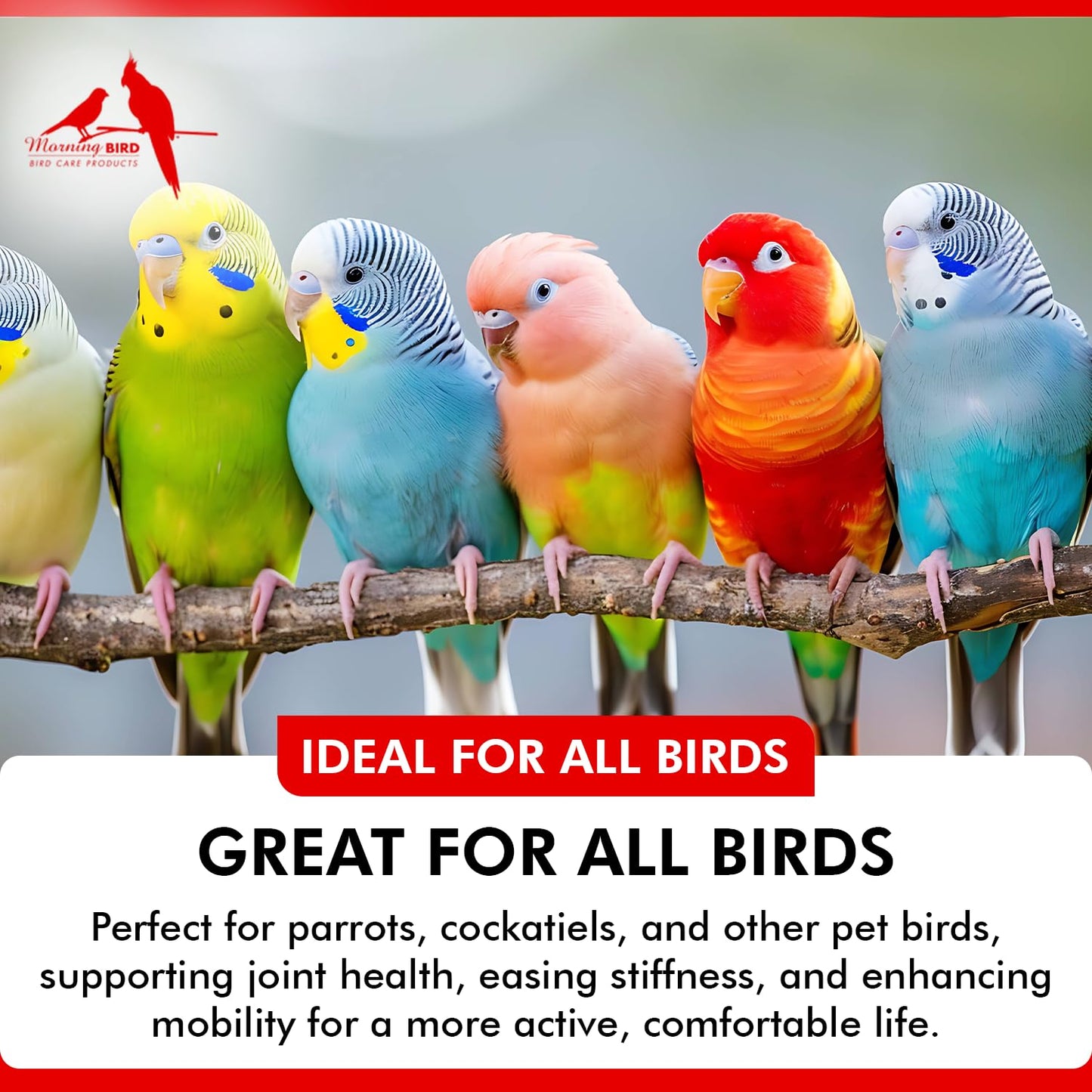 Morning Bird Joint & Mobility 2 fl oz – Muscle Pain Relief Supplement for Joint Health, Stop Pain & Arthritis Supplements – Herbal Liquid Formula for Aging, Injured, or Stressed for All Bird Types