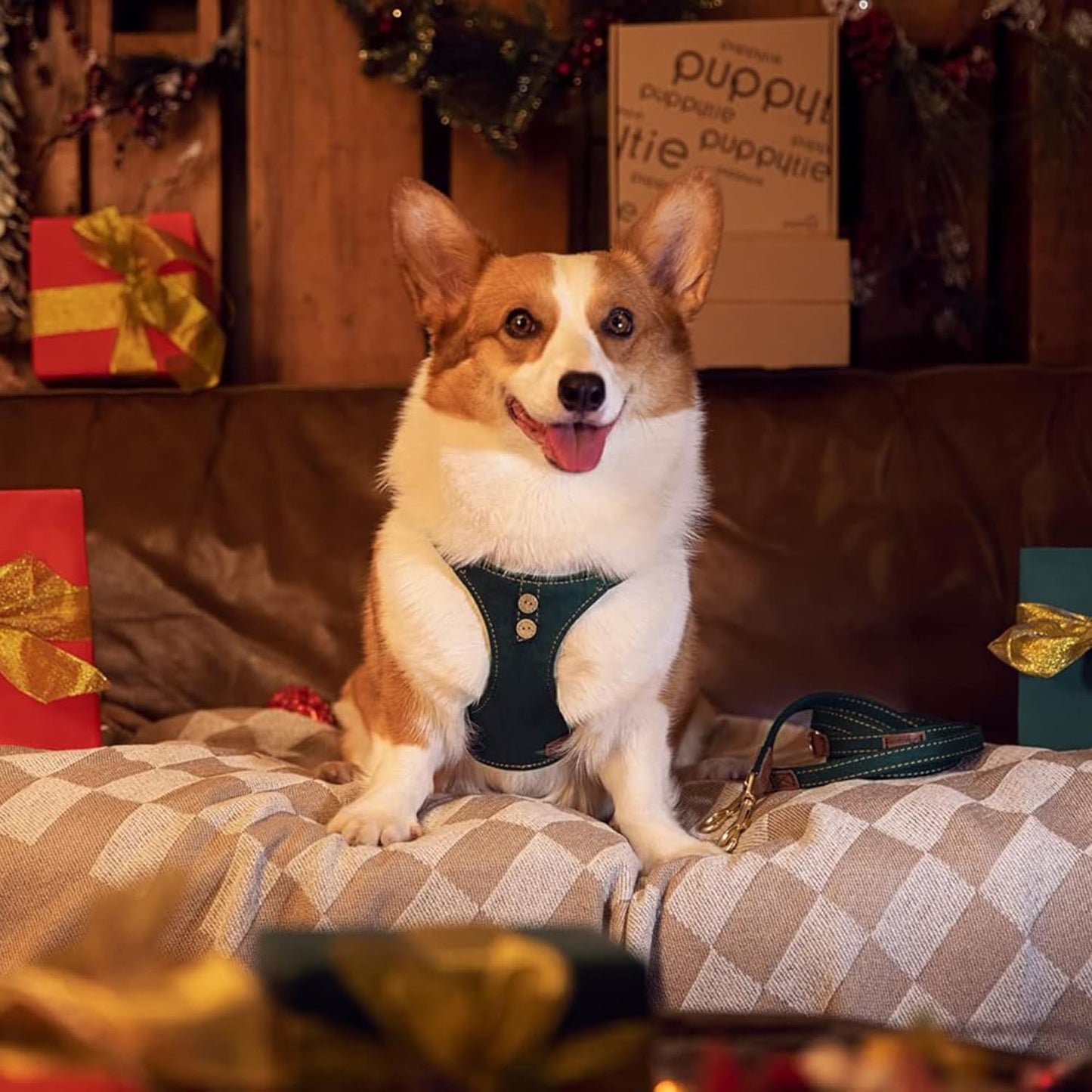 Dog Harness, No Pull Dogs Harness and Multi-Function Leash Set for Medium Dogs Easy Walk Everyday Adjustable Soft Dog Vest Harness Fashionable Dog Accessories Denim Vintage Green-Button-Slim Large