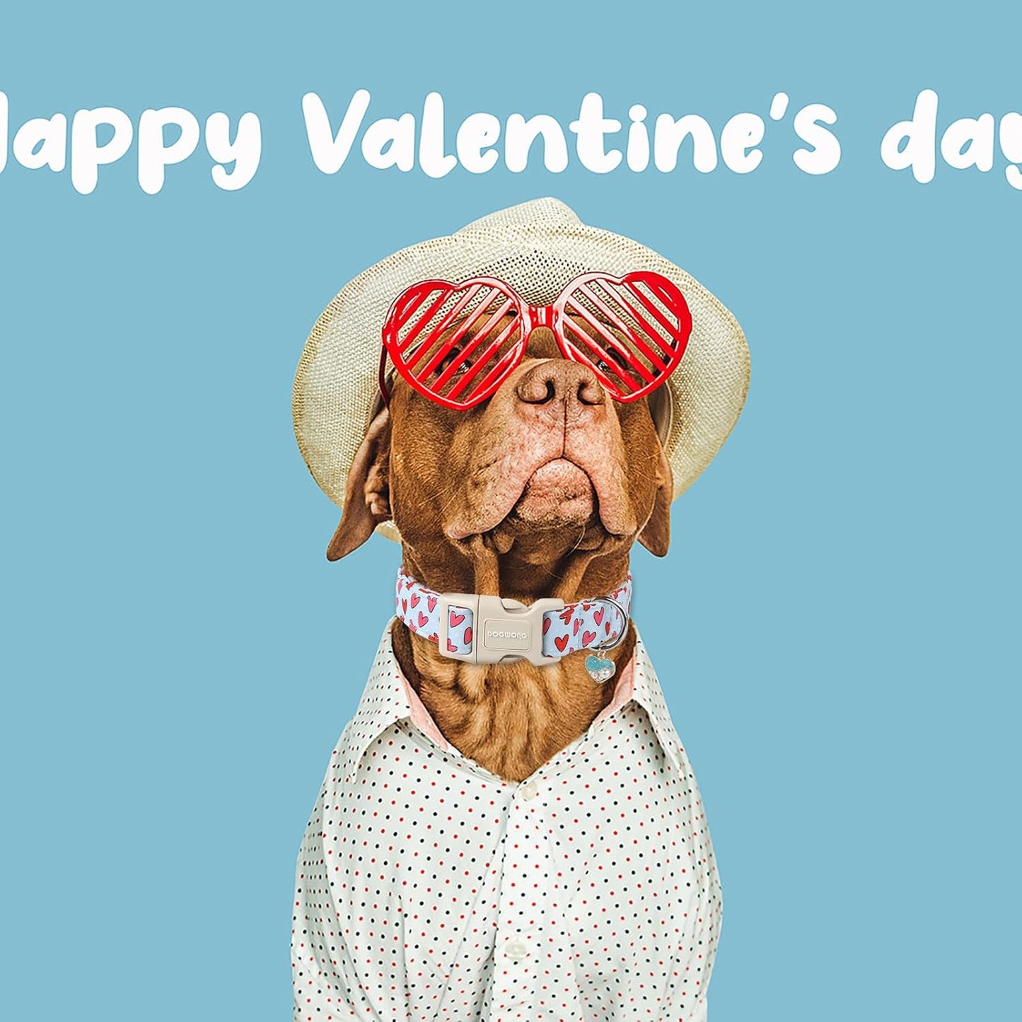 DOGWONG Valentine Dog Collar- Cute Blue Heart Dog Collars Adjustable Designer Valentine’s Day Puppy Heart Dog Collar for Small Medium Large Dogs L