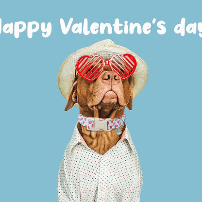 DOGWONG Valentine Dog Collar- Cute Blue Heart Dog Collars Adjustable Designer Valentine’s Day Puppy Heart Dog Collar for Small Medium Large Dogs L