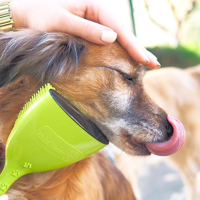 Michel Mercier Pet Detangling Brush - Fine or Normal Fur - Cat & Dog Brush for Grooming, Detangling & Deshedding - 1 pc