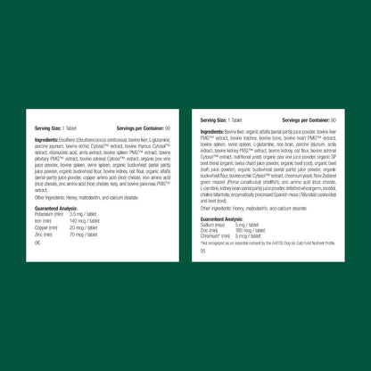 Standard Process Kitten Kit - Overall Health Kit for Feline Whole-Body Support - Feline Immune System Support Supplements - Wellness Supplements to Support Kitten Health & Growth - Includes Catnip Toy