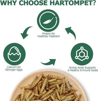 Dried BSF Larvae for Chickens - Non-GMO Poultry Feed Supplement, 85X More Calcium Than Mealworms, 1LB Grub Worms Perfect for Molting & Laying Hens, Ducks, and Wild Birds