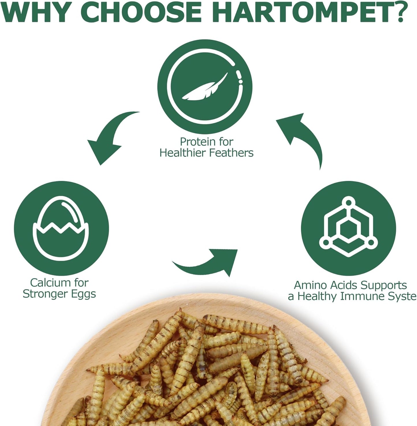 Dried BSF Larvae for Chickens - Non-GMO Poultry Feed Supplement, 85X More Calcium Than Mealworms, 10LB Grub Worms Perfect for Molting & Laying Hens, Ducks, and Wild Birds
