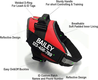 PawPawify Custom No Pull Dog Harness with Name and Phone Number, Heavy Duty Personalized Pet Vest to Prevent Tugging, Pulling, or Choking, Training and Walking (Green, XXL (85-140 LBS))