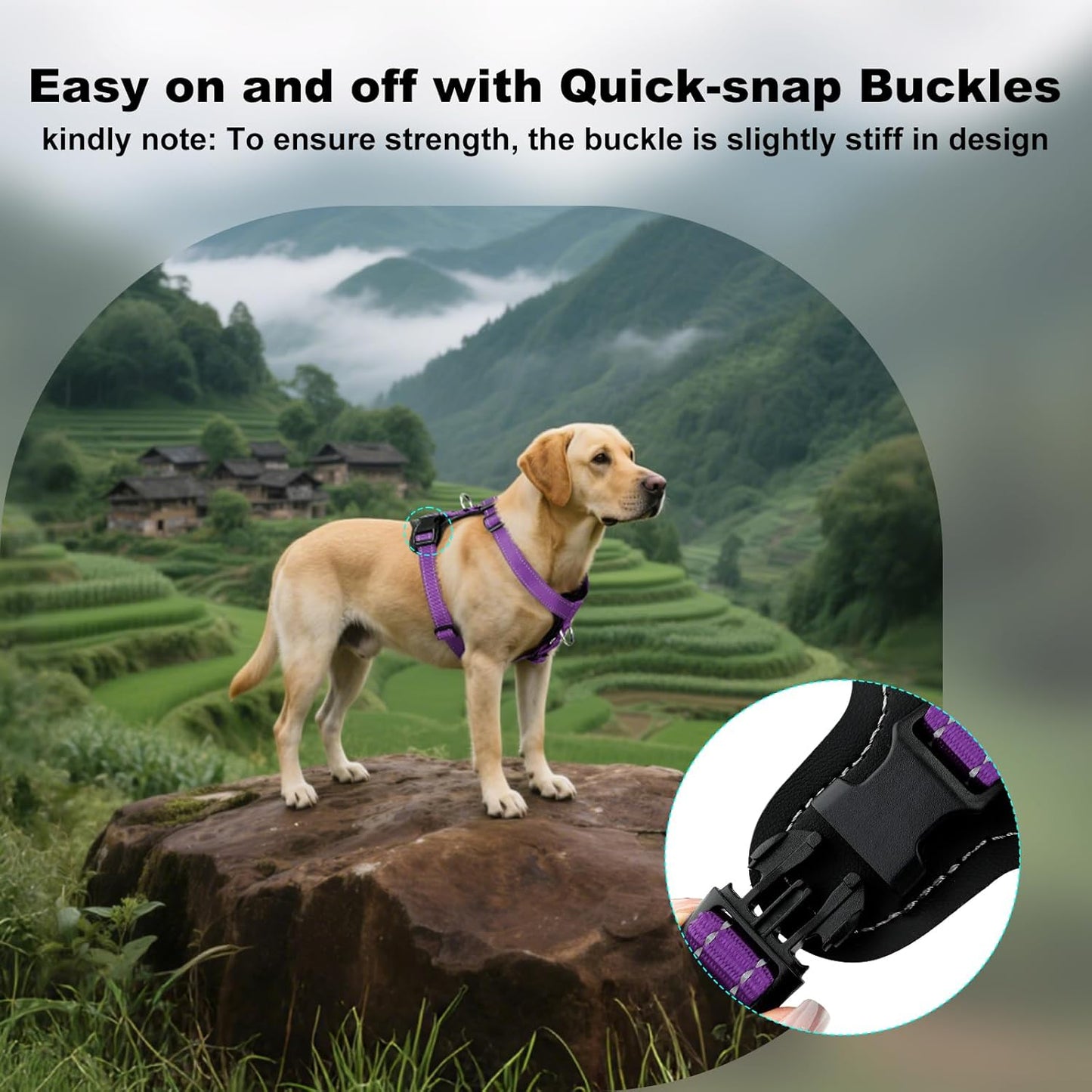 Plutus Pet Adjustable No Pull Dog Harness with Leather Accents, Heavy Duty Reflective Nylon Vest for Training, Hiking, Easy Walk Harness for Small, Medium, Large Dogs (Purple, XL)