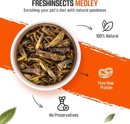 Medley Treat Bearded Dragon Food - Freeze Dried Mealworms, Grasshoppers, Crickets, Quality Tested, Vitamin & Calcium Enriched, Essential Proteins, Fats & Minerals - For Bearded Dragons, Reptiles 2.5oz