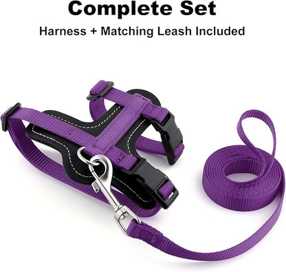 Plutus Pet Adjustable Cat Harness and Leash Set, Quick Release, Escape Proof Nylon Vest with Leather Trim for Kitten, Small Medium Large Cats, Purple