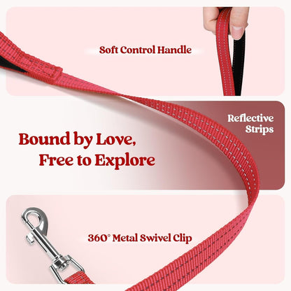 rabbitgoo Dog Harness Small Sized and Leash Set, Step in Soft Light Puppy Vest, Breathable Mesh Pet Harness, Reflective for Outdoor Safe Walking, Red XXXS