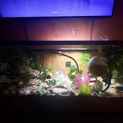 Leopard Gecko Coconut Hut with Ladder,Grested Gecko Coco Den Lizards Hanging Coconut Shell Hideout Cave Reptiles Tank Accessories Climbing Hanging Plants Jungle Vine Flexible Leaves Decor