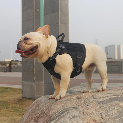 ICEFANG Tactical Dog Harness, Small Size,2X Metal Buckle,Working Dog MOLLE Vest with Handle,No Pulling Front Leash Clip,Hook and Loop Panel (Black,S (Pack of 1))