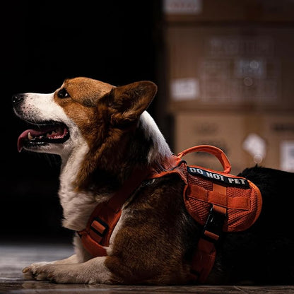 OneTigris No Pull Tactical Dog Harness for Small Medium Dogs, Double Layer Mesh Durable Service Dog Vest Harness COMET'S Tail Training Breathable with Handle