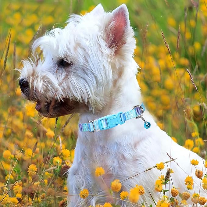 Small Dog Collar with Bell, Pretty Cool Boy Cat Collar Tiny Puppy Collars with Bells for Xs Small Pet Male Dogs Kitten Little Animal, Bule Small