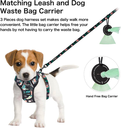 Petmolico Dog Harness for Small Dogs, Cute Harness Vest with Two Leash Clips and Soft Handle, Reflective Easy Walk Puppy Vest - Black Lotus, X-Small