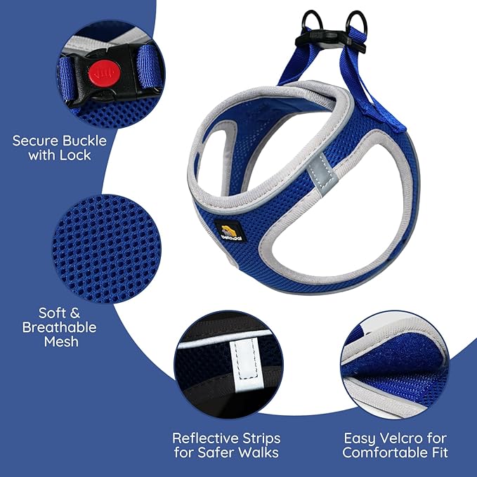 BELLA & PAL Step in Vest Harness for Small and Medium Dogs, No Pull Small Dog Harness with Leash Set, Comfortable Air Mesh Dog Vest Harness with Reflective Strip (Sapphire(Round Rope), XXS)