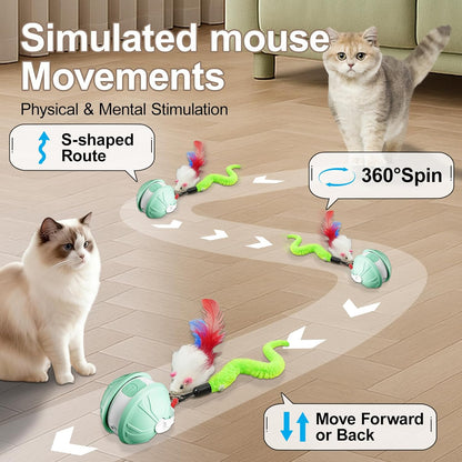 Interactive Cat Toy Ball - 2-in-1 Indoor Cat Toy with Feather Attachment and Laser Interactive Cats Balls, Moving Electric Rolling Ball Toys Designed for Bored Kittens and Adult Cats