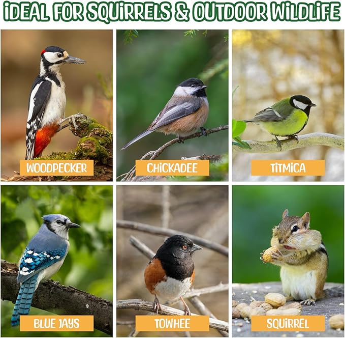 Premium Quality Raw Peanuts in Shell - 5 Pounds – All-Natural Food for Squirrels, Deer, Birds, and Other Wildlife Animals – Grown in The USA for Healthy Nutrition