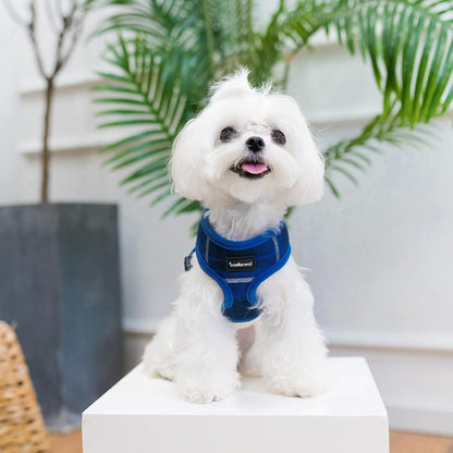 SCENEREAL Puppy Dog Harness with Leash Set for Small Medium Sized Dogs, Soft Mesh Step in Pet Harnesses and Leash, No Chock Plaid Adjustable No Pull Vest for Dogs Cats, Chihuahua,Bulldog (Blue M)