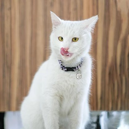 Anavia Small Size Dog Cat ID Tags, Small/XS Personalized Color Plated Stainless Steel Puppy Kitten Name Tags, Customized Engraved Nameplate Pet Collar Tag (Rainbow, XS-Round)