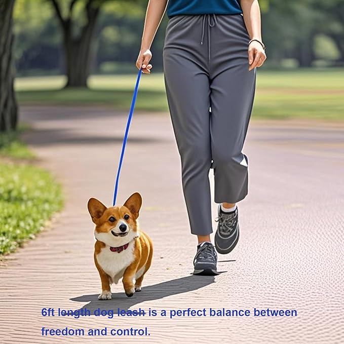 6 FT Puppy Leash, Strong Traditional Style Leash with Easy to Use Collar Hook,Dog Lead Great for Small and Medium and Large Dog (Blue, 5/8 in x 6 ft)