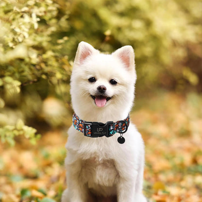 Halloween Dog Collar, UP URARA PUP Cotton Skull Ghost Dog Collar for Small Dog, Fall Pet Collar with Halloween Elements Pattern, Adjustable Puppy Collare,S