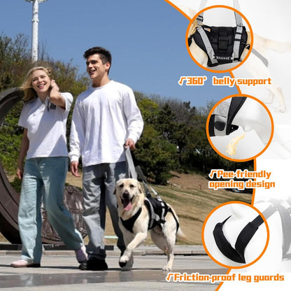 Dog Lift Harness for Large Dogs,Full Body Dog Sling Carrier with Handle,for Up Stair/Back Legs Support/Dogs Joint Injuries/Arthritis (X-Large)