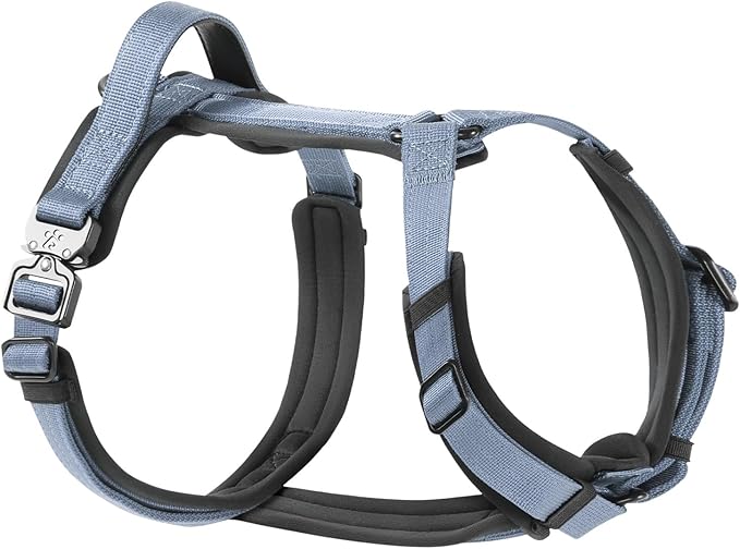 PawsPassion Dog Harness for Small Dogs, No Pull Dog Harness Easy Walk with Metal Hardware, Ergonomic Y-Shaped Design, Soft Padding, Padded Handle, Durable High-Tensile Nylon (Horizon, S)