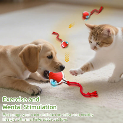 Interactive Cat Toys Balls for Indoor Cats, 2025 New Motion Activated Cat Balls with 360° Smart Automatic Rolling Moving for Bored Kitten Pet Cats Dogs (Gray)