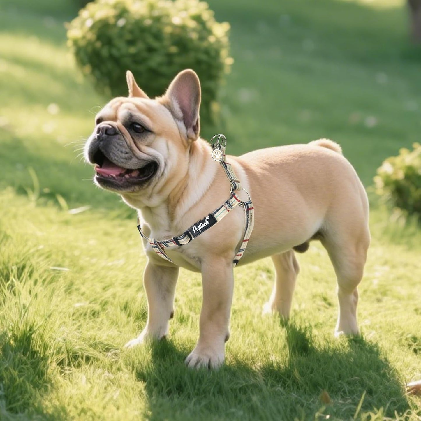 PUPTECK No Pull Dog Harness Soft Adjustable Basic Nylon Step in Puppy Vest Outdoor Walking with ID Tag, Plaid Beige, S