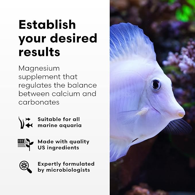 Brightwell Aquatics Magnesion Liquid Salt Water Conditioner - Concentrated Magnesium Supplement For Reef and Marine Aquariums, 67.6 fl oz