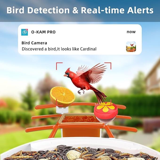 Kurain® Smart Bird Feeder with Camera, 2.4G/5G WiFi, 2.5K Video Birds Feeder with Solar Panel, AI Identify, Live View, Capture Bird Video, Instant Arrival Alerts, Ideal Gift forBirdlover