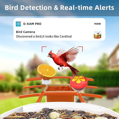 Kurain® Smart Bird Feeder with Camera, 2.4G/5G WiFi, 2.5K Video Birds Feeder with Solar Panel, AI Identify, Live View, Capture Bird Video, Instant Arrival Alerts, Ideal Gift forBirdlover