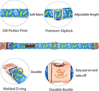 Elegant little tail Dog Collar, Blue Bear Pattern Pet Collar Durable Cute Dog Collars Male or Female Pet Gift Adjustable Dog Collar for Medium Dogs