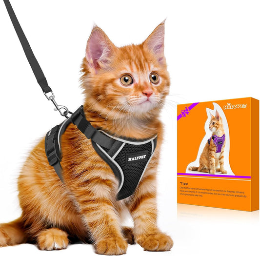 Halypet Cat Harness and Leash Set [MAX Safety 4th-Gen Upgrade] Escape Proof Adjustable Cat Leash Comfortable Soft Vest Easy to Wear Kitten Harness with Reflective Strip for Cats Walking, M Black