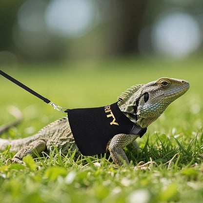 Bearded Dragon Harness and Leash Set - Security-Style Escape Proof Adjustable Reptile Lizard Vest with 5 ft Short Leash for Walking Outdoor (Costume Vest Design)