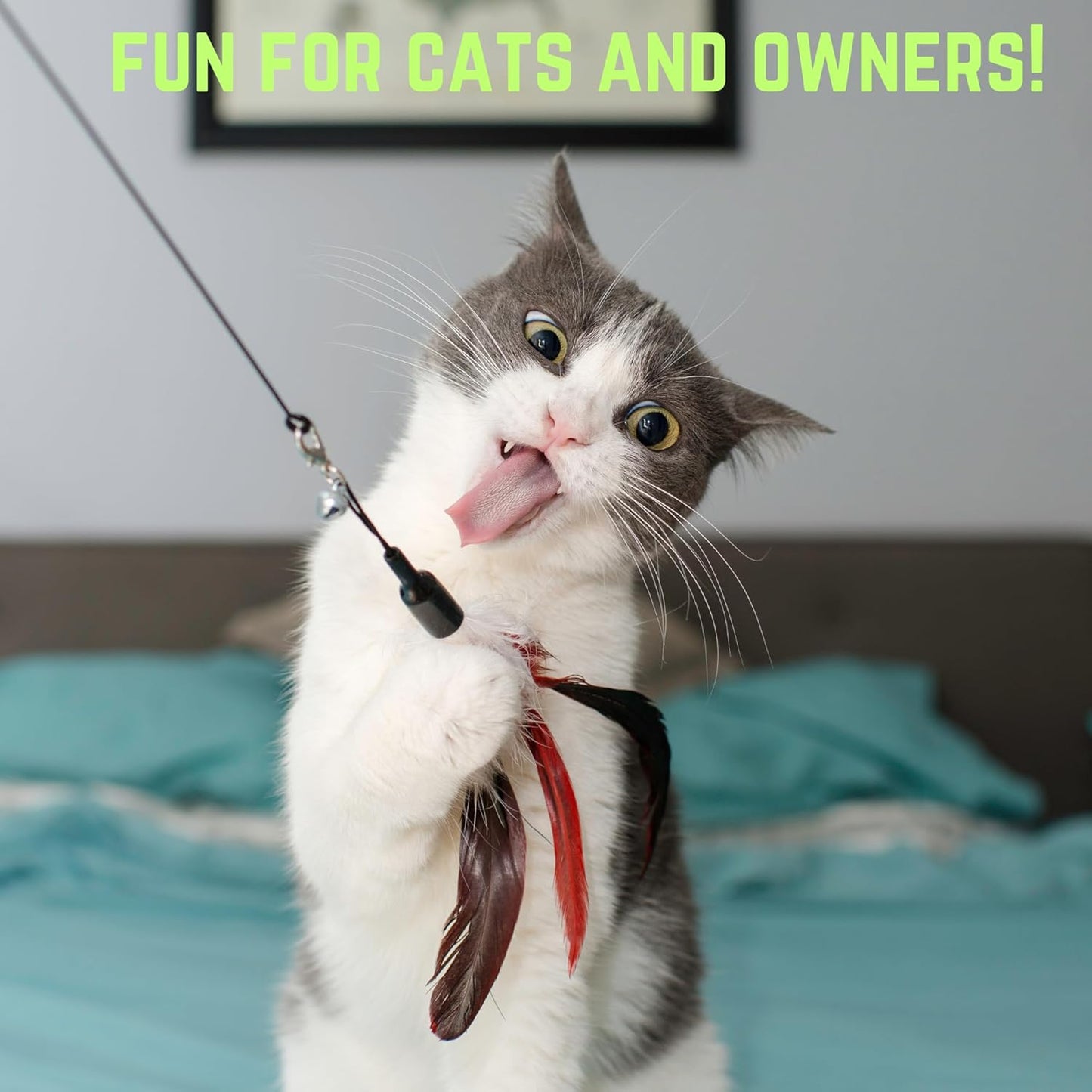 Smokey's Stash Interactive Cat Toy Wand 2pc Cat Fishing Pole Cat Toy for Indoor Cats with Feather and Funny Toy Refills to Drive Kittens Crazy