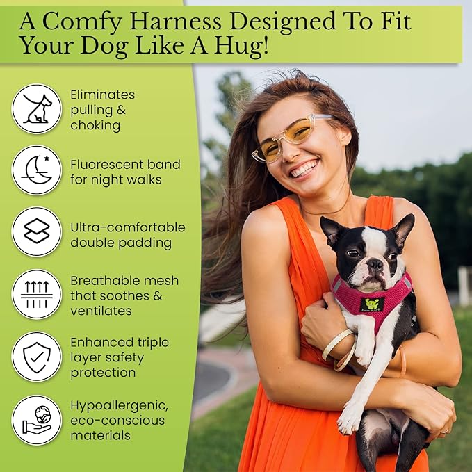 EcoBark Step in Dog Harness - Eco-Friendly Toy Breed Dog Harness for XS, Small and Medium Dogs - Reflective and Adjustable Body Halter Vest -Tiny Soft Mesh Chest Collar (Green, Medium)