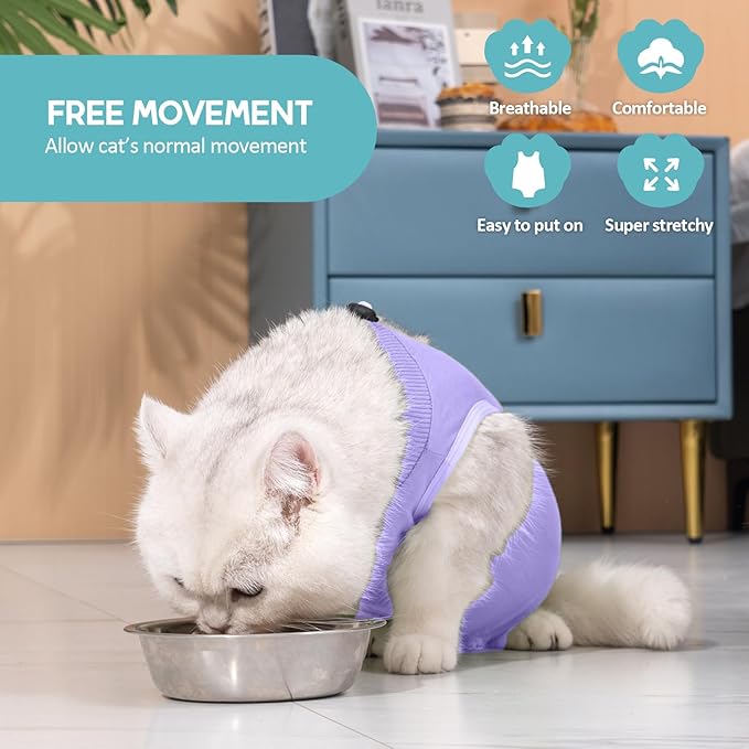 Avont Cat Recovery Suit - Kitten Onesie for Cats After Surgery, Cone of Shame Alternative Surgical Spay Suit for Female Cat, Post-Surgery or Skin Diseases Protection -Purple(M)