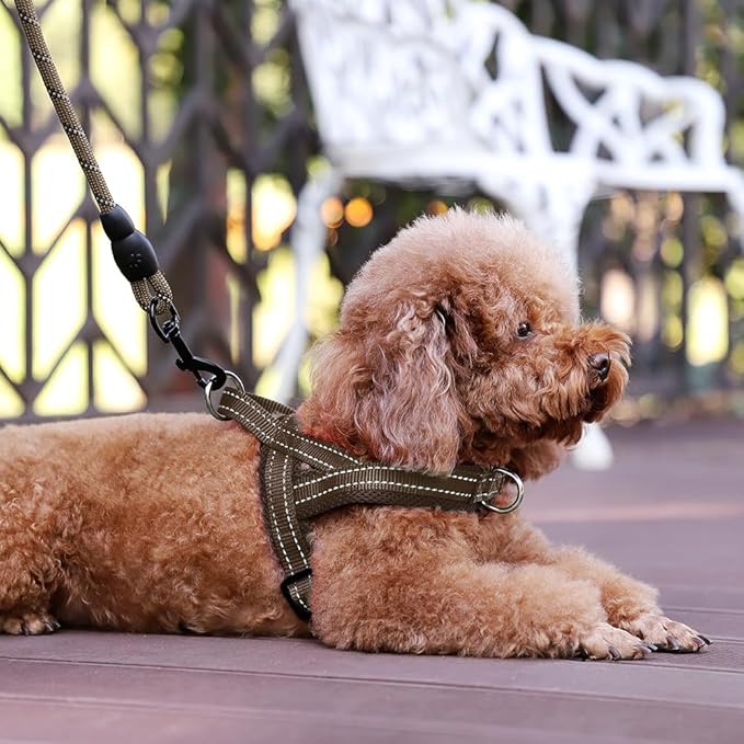 Plutus Pet No Pull Dog Harness with Breathable Mesh Padded, Adjustable Reflective Escape Proof Dog Harness, Quick Fit Dog Vest Harness for Small Medium Large Dogs(M, Chocolate)
