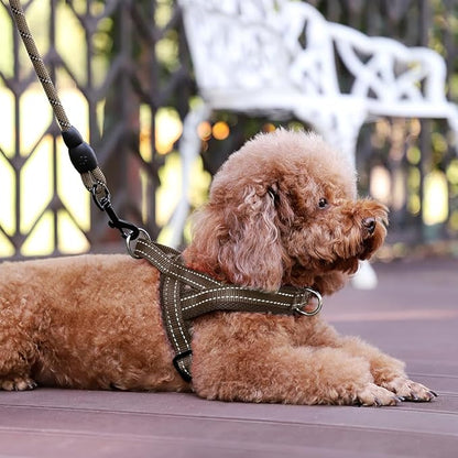 Plutus Pet No Pull Dog Harness with Breathable Mesh Padded, Adjustable Reflective Escape Proof Dog Harness, Quick Fit Dog Vest Harness for Small Medium Large Dogs(M, Chocolate)