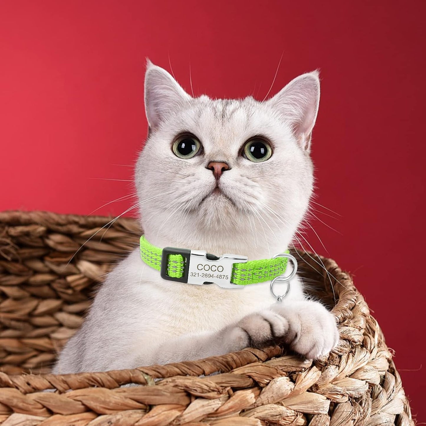 Personalized Reflective Nylon Cat Collar with Name Phone,Custom Engraved Buckle Cat Collar with Bell,Adjustable for Small Dogs Puppy Kitten (Green,fit 7.5''-12.0'')