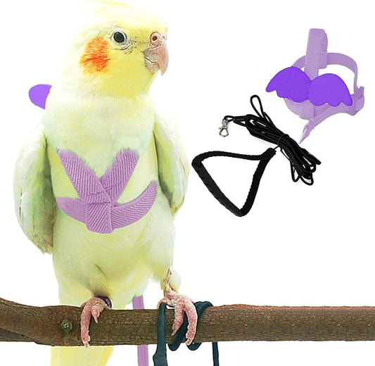 Dnoifne Pet Parrot Bird Harness and Leash, Adjustable Training Design Anti-Bite, Bird Nylon Rope with Cute Wing for Parrots, Suitable for Scarlet, Keck, Mini Macaw and Same Size Birds (Light Purple)