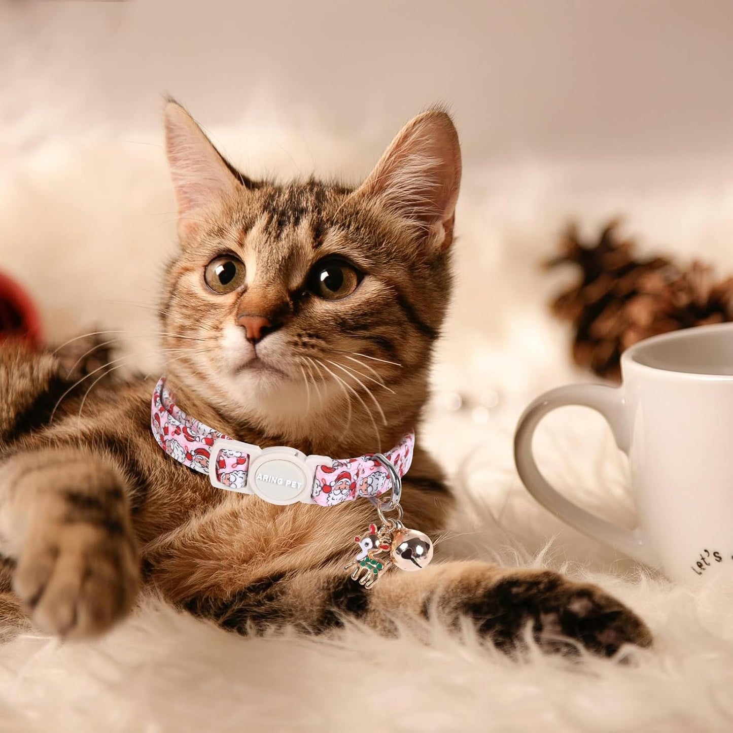 ARING PET 2 Pack Cat Collar, Christmas Breakaway Kitten Small Collars with Bells for Girl Boy Cats-Red Green Pink Plaid & Santa Claus