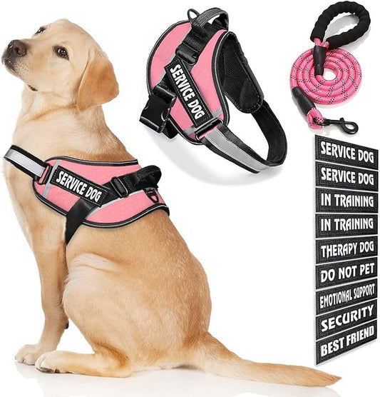 Service Dog Vest, 9 Dog Patches No Pull Dog Harness and Leash Set with Handle,Easy On and Off Pet Vest Harness with Night Safe Reflective Straps for Small Medium Large Breed Dogs