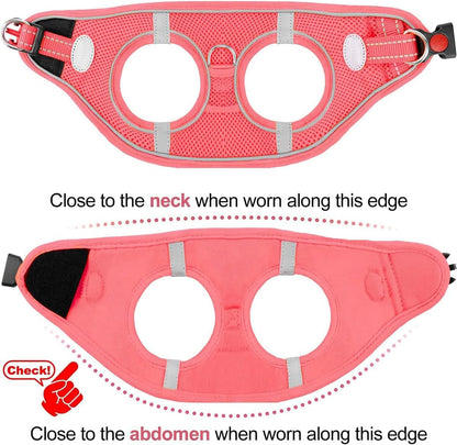 Joytale Small Dog Harness, Breathable Mesh Step-in Vest, Reflective Soft Padded Harnesses for Cats, Puppies and Extra Small Dogs, Pink, XXS