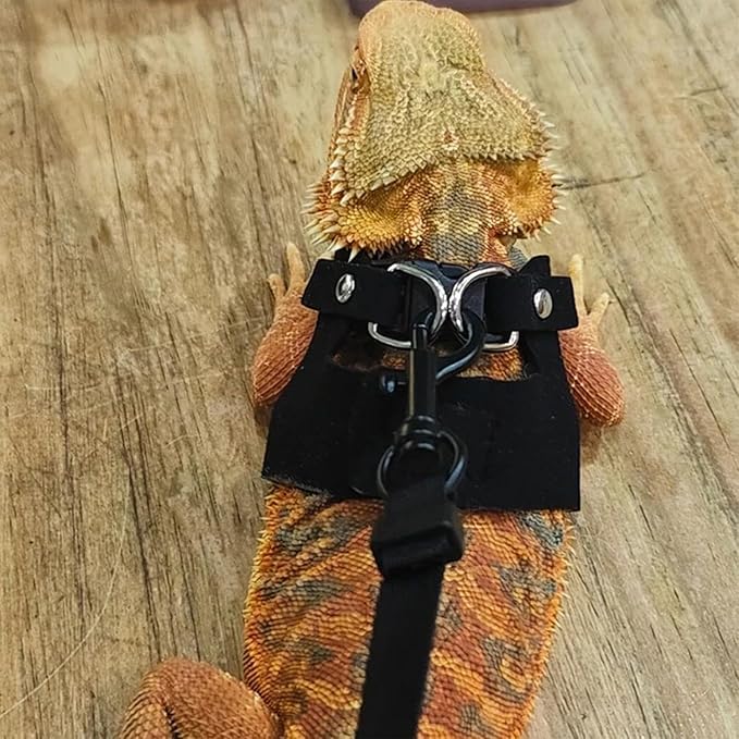 KABASI Bearded Dragon Harness Leash Set, 3 Size Adjustable Lizards Training Walking Leather Vest Escape-Proof Traction Rope for Squirrel and Other Outdoor Small Reptiles (Black)