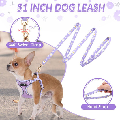 SlowTon Small Dog Harness - No Pull Dog Harness and Leash Set, Soft Mesh Lightweight Puppy Vest Harnesses, Adjustable Pet Harnesses for XXS XS Small Medium Easy Walk Hiking (Purple, XXS)