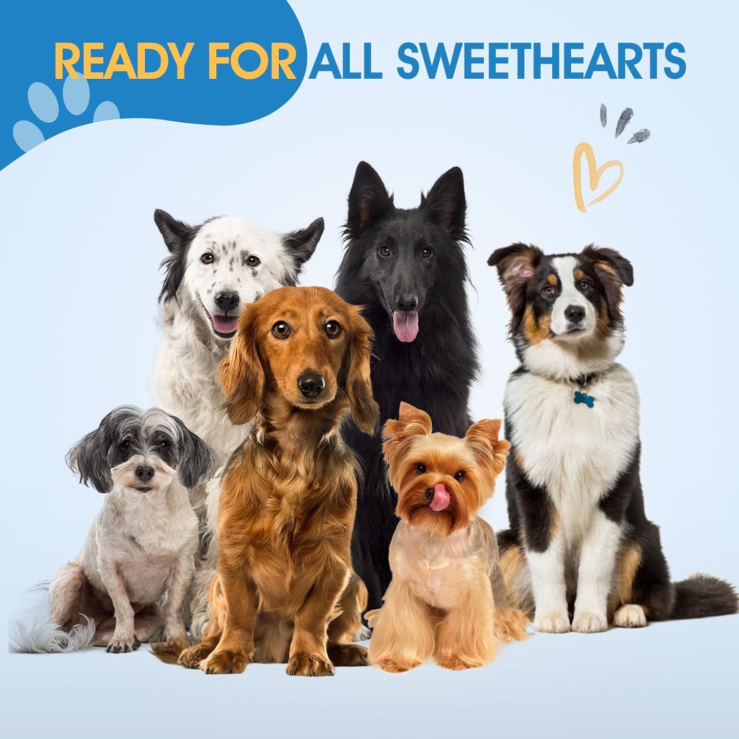 JASON Updated Curved Thinning Shears - 7” Professional Dog Grooming Scissors, 440C Stainless Steel, Adjustable Screws, 20%-25% Thinning Rate